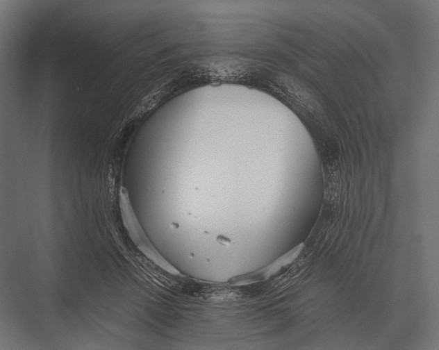 X0000075330456200610061632