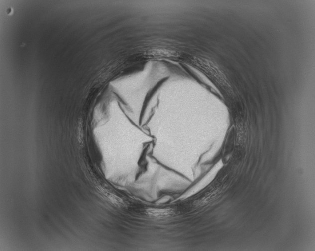 X0000075330457200610061632