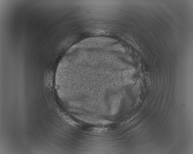 X0000075330458200610061632