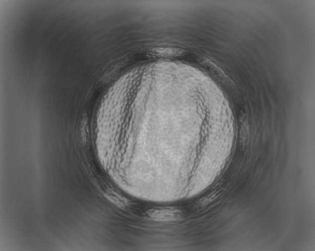 X0000075330459200610061632