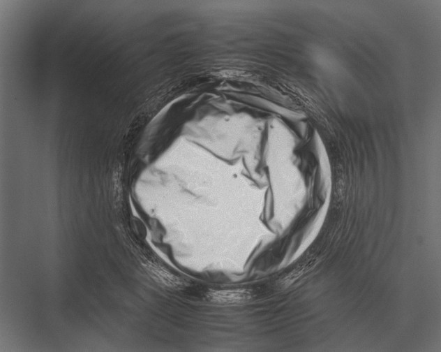 X0000075330461200610061633