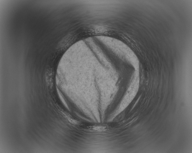 X0000075330462200610061633