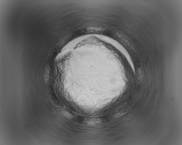 X0000075330463200610061633