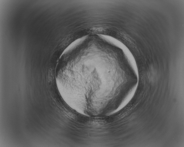 X0000075330467200610061633