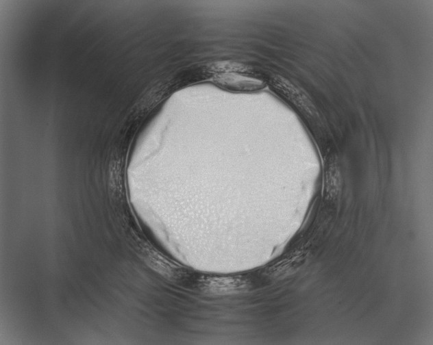 X0000075330473200610061633