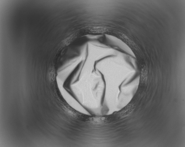 X0000075330474200610061633