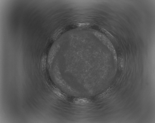 X0000075330475200610061633