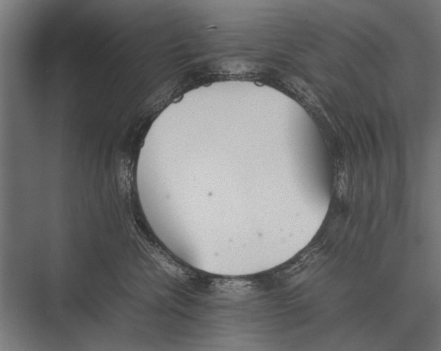 X0000075330476200610061633