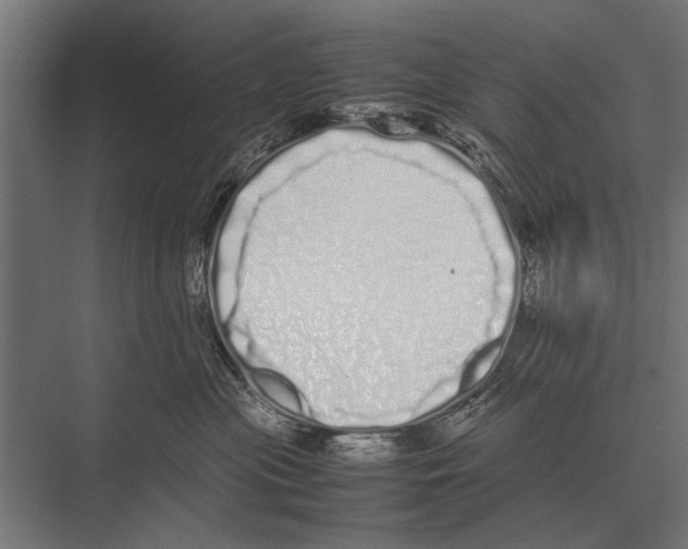 X0000075330477200610061633