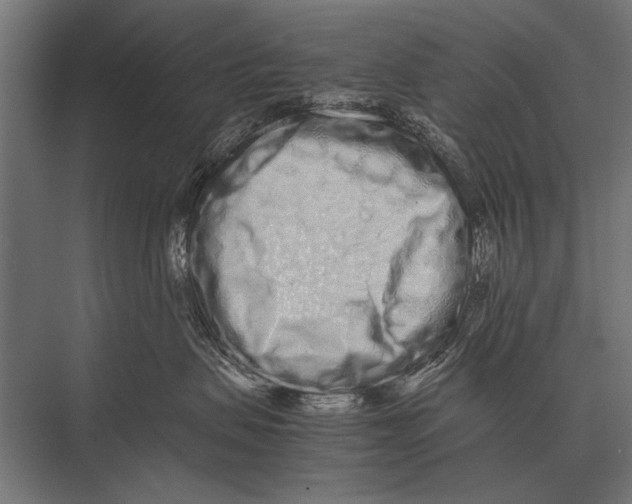 X0000075330479200610061633