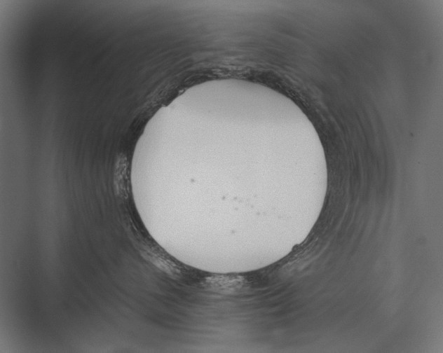 X0000075330480200610061633