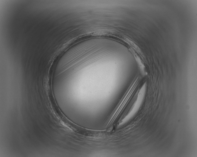 X0000075330485200610061632