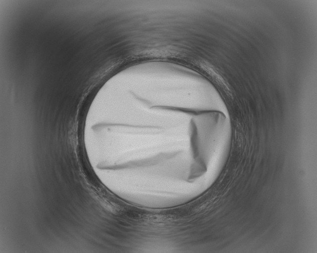 X0000075330486200610061632