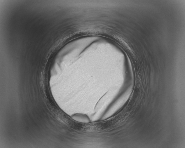 X0000075330487200610061632