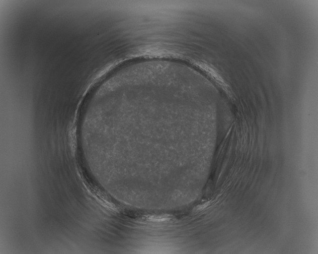 X0000075330488200610061632