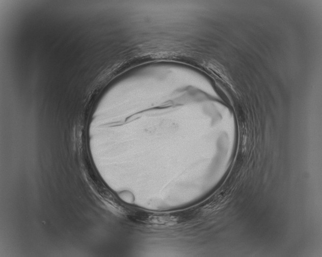 X0000075330491200610061632