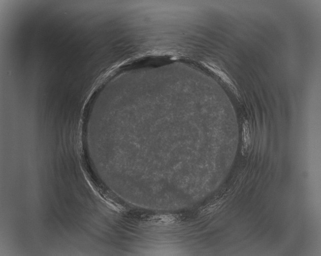 X0000075330492200610061632