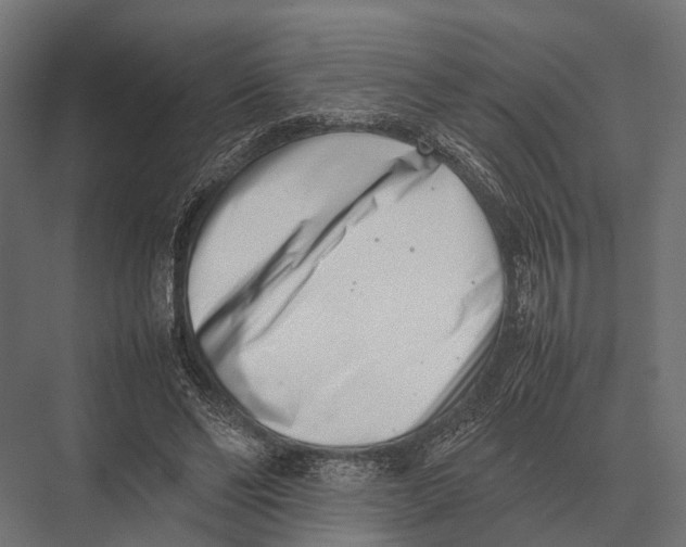 X0000075330494200610061632