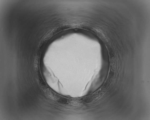 X0000075330495200610061632