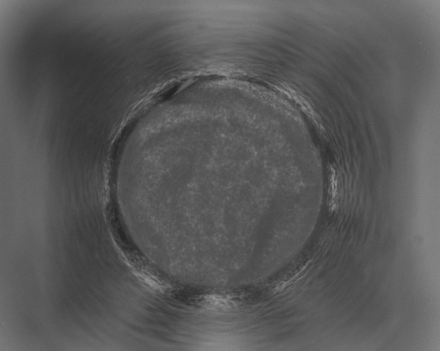 X0000075330496200610061632