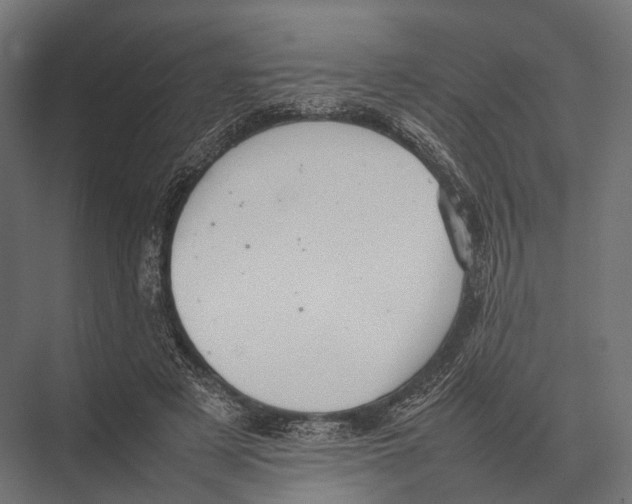 X0000075330497200610061632