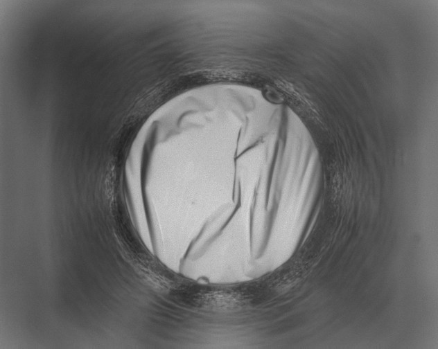 X0000075330498200610061632