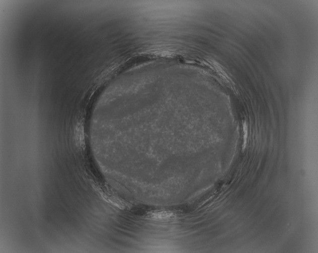 X0000075330500200610061632