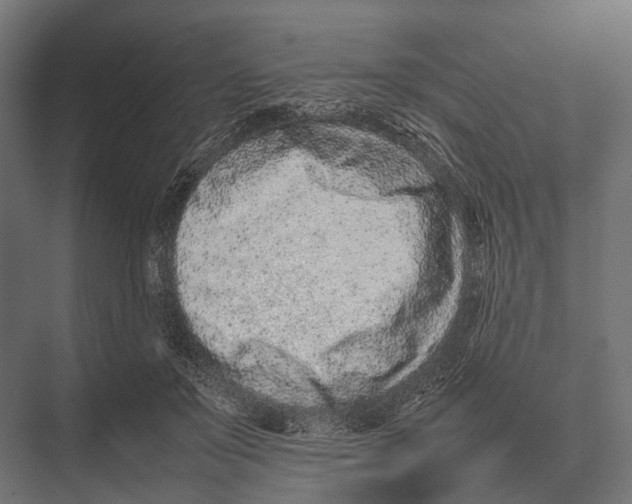 X0000075330503200610061632