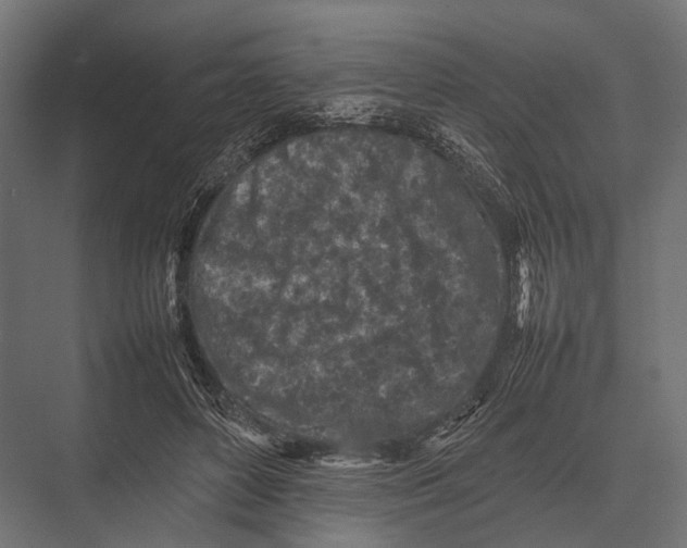 X0000075330504200610061632