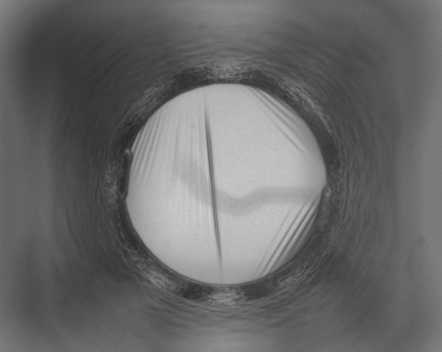 X0000075330505200610061632