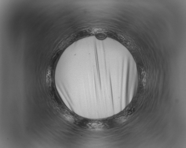 X0000075330506200610061632