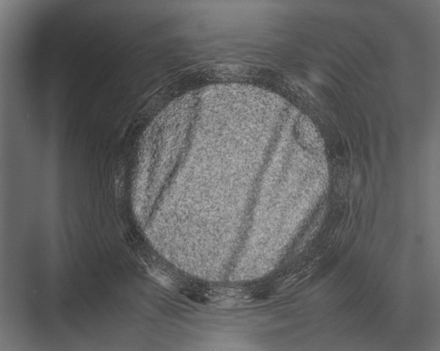 X0000075330507200610061632