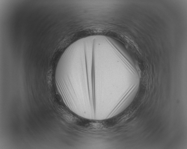 X0000075330509200610061632