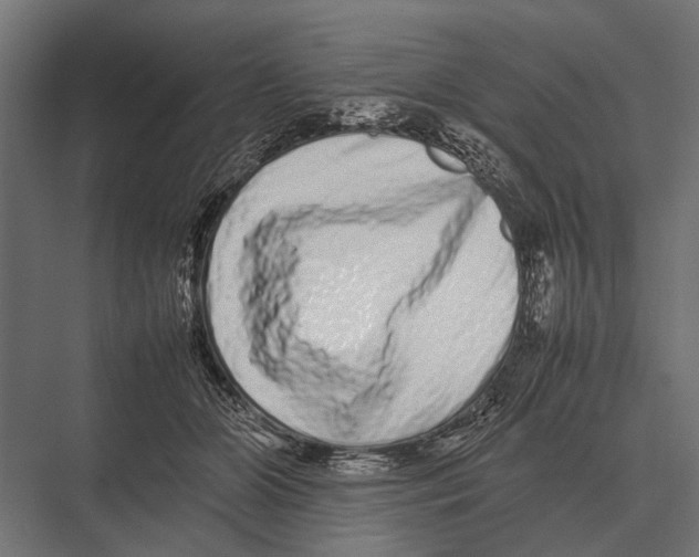 X0000075330510200610061632