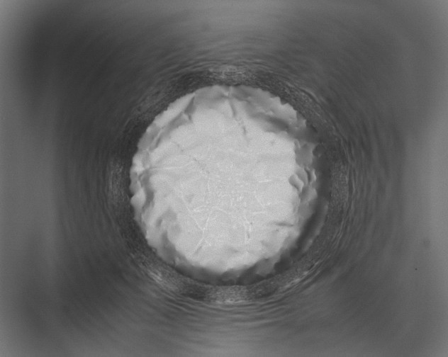 X0000075330511200610061632