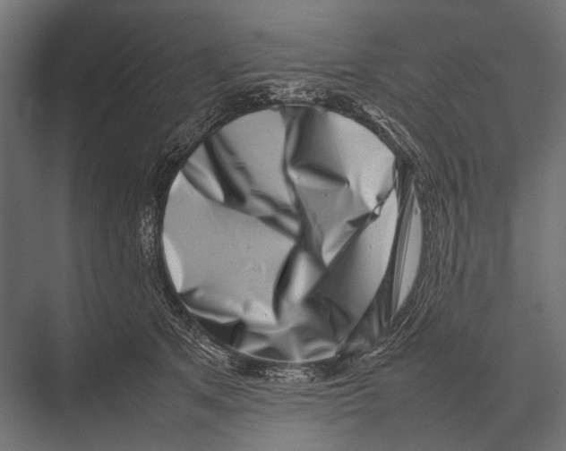 X0000075330513200610061631