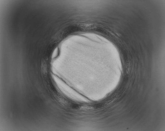 X0000075330515200610061631