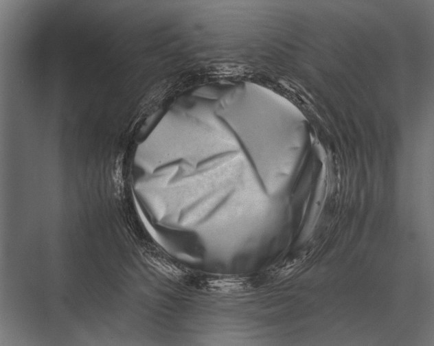 X0000075330516200610061631