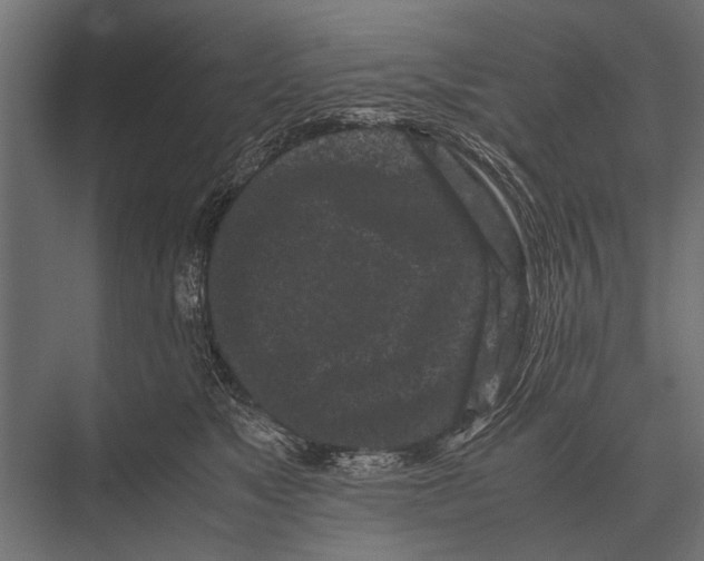 X0000075330517200610061631