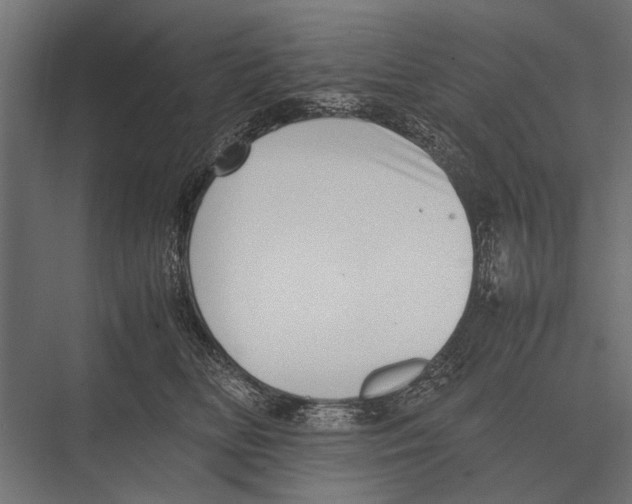 X0000075330518200610061631