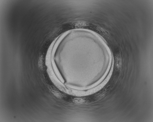 X0000075330519200610061631