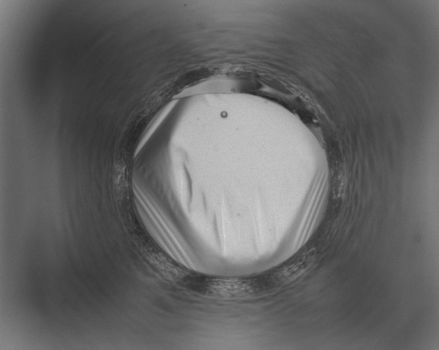 X0000075330521200610061631