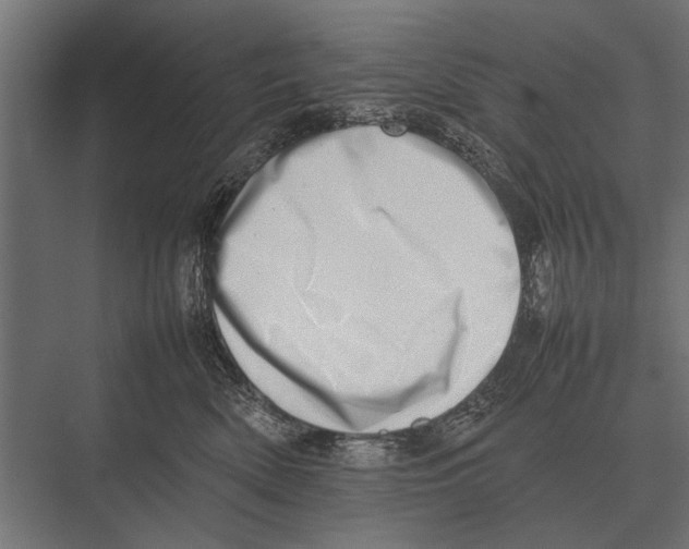 X0000075330522200610061631