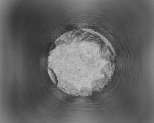 X0000075330523200610061631