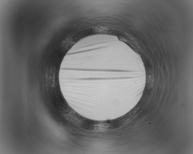 X0000075330525200610061631