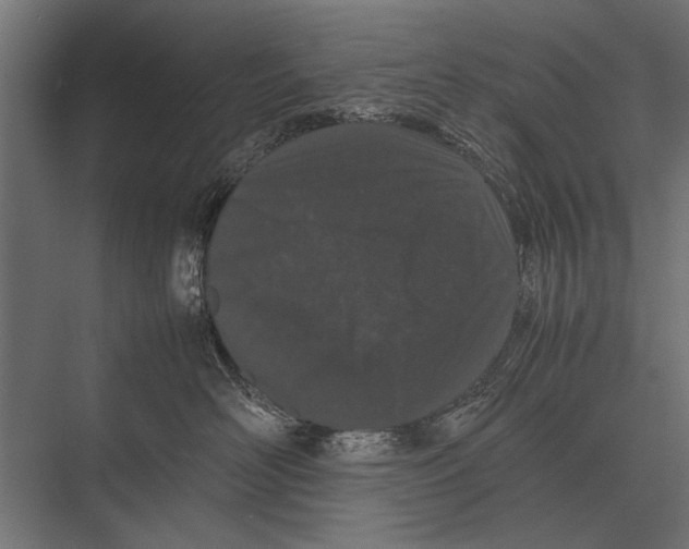 X0000075330526200610061631