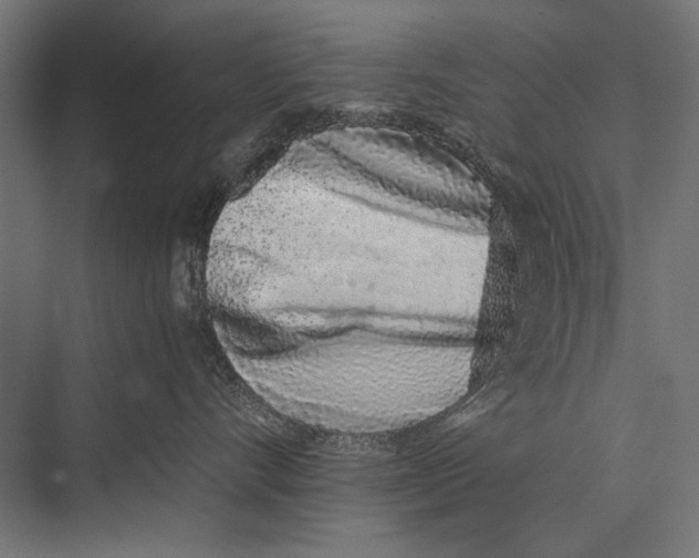 X0000075330528200610061631