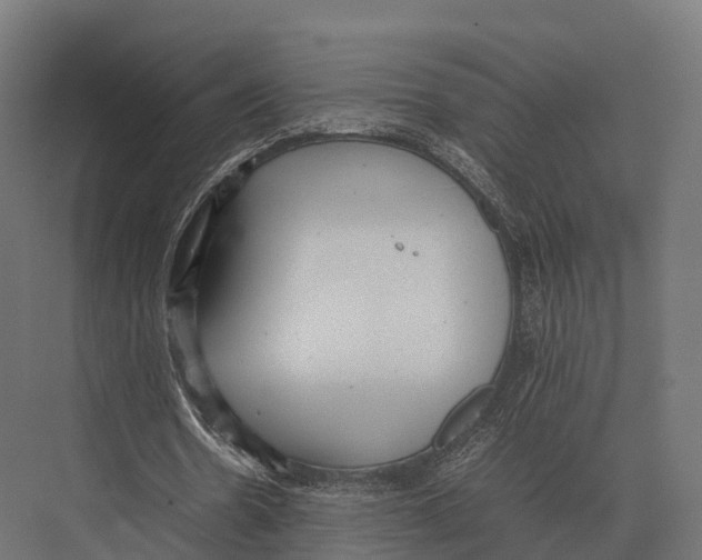 X0000075330530200610061630