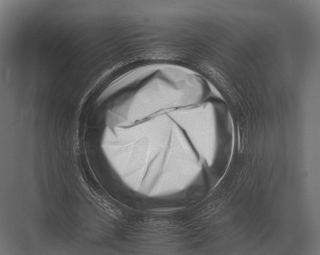 X0000075330531200610061630