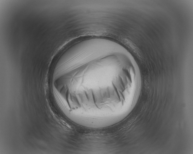 X0000075330532200610061630